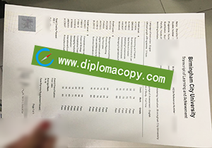 buy fake Birmingham City University transcript diploma, 