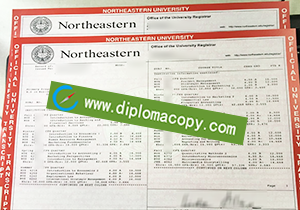 buy fake Northeastern University transcript