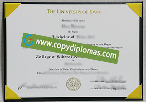 University of Iowa degree