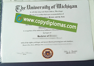 University of Michigan degree