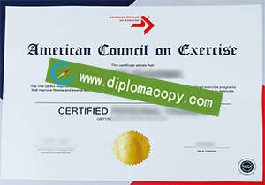 buy fake ACE certificate