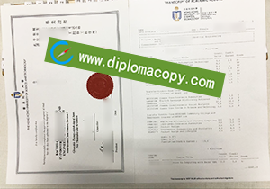 buy fake HKUST degree and transcript