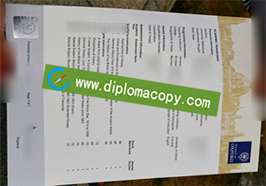 buy fake University of Oxford transcript