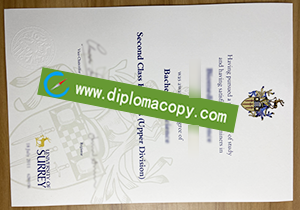 buy fake University of Surrey diploma