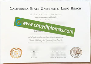 CSULB degree