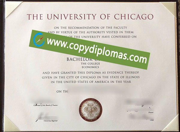 University of Chicago degree