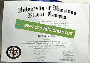 University of Maryland Global degree