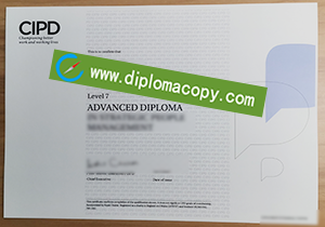 buy fake CIPD diploma