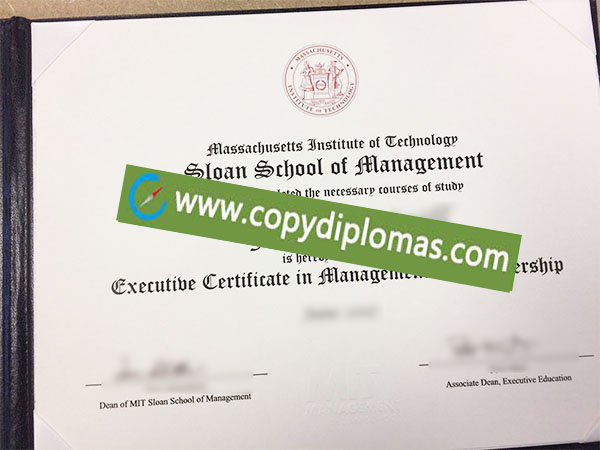 MIT diploma