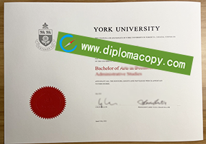 buy fake York University degree