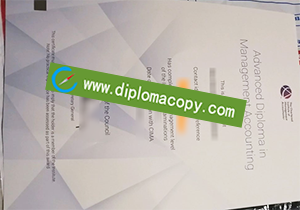 buy CIMA fake diploma