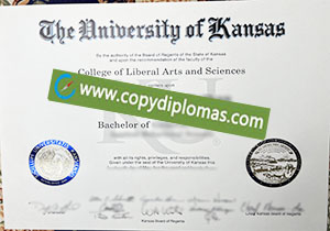 University of Kansas degree