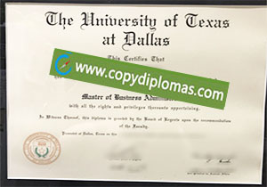 University of Texas at Dallas degree