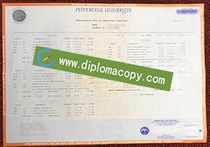 buy fake Pepperdine University transcript