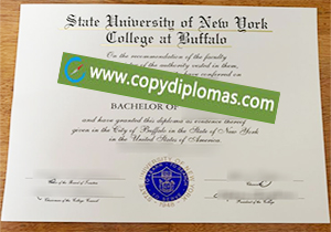 SUNY Buffalo diploma