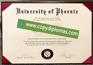 University of Phoenix degree