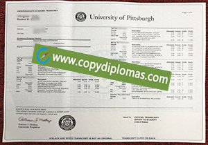 University of Pittsburgh transcript degree