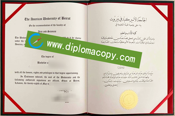 Fake AUB degree, American University of Beirut diploma