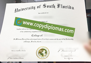 University of South Florida diploma