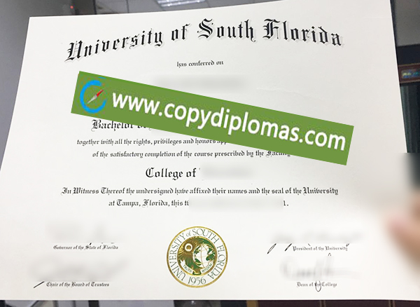 University of South Florida diploma