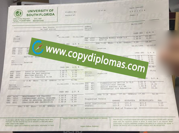 University of South Florida transcript