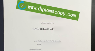 Griffith University fake degree