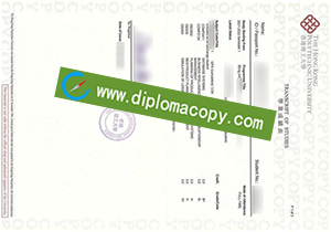 buy fake Hong Kong Polytechnic University transcript