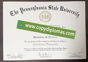 Pennsylvania State University degree