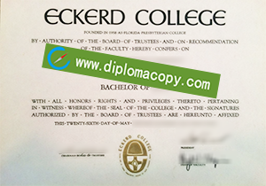 buy Eckerd College fake diploma