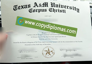 TAMU-CC diploma