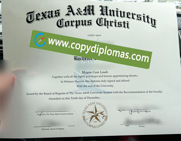 TAMU-CC diploma