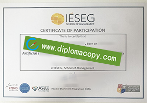 buy IÉSEG fake diploma