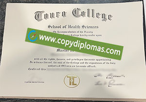 Touro College degree