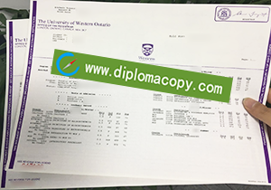 buy fake University of Western Ontario transcript