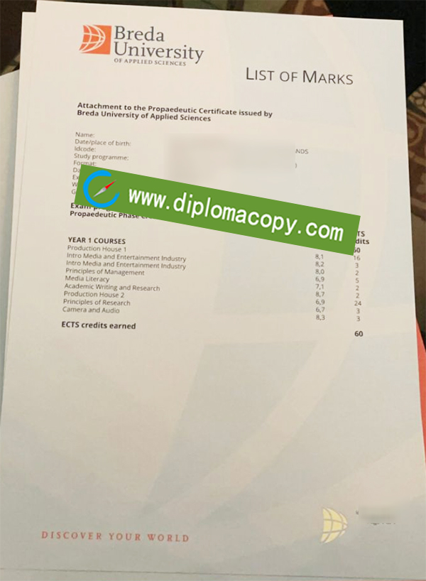 Breda University transcript, Breda University diploma