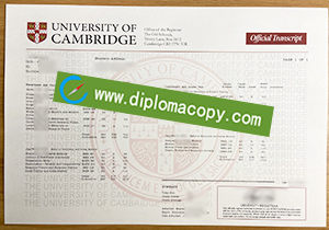 buy fake University of Cambridge transcript