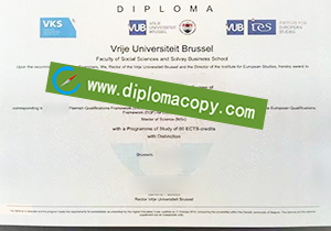 buy fake Vrije Universiteit Brussel diploma