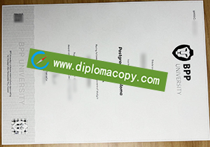 buy BPP University fake diploma