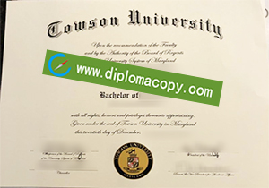 buy fake Towson University degree