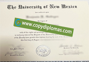 University of New Mexico degree