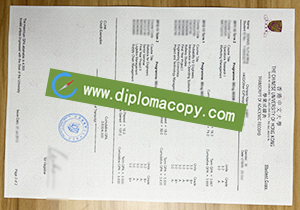 buy fake Chinese University of Hong Kong transcript