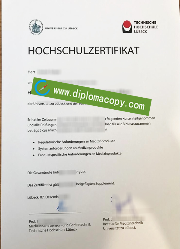 Technische Hochschule Lübeck degree, TH Lübeck diploma