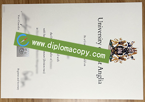 buy fake University of East Anglia diploma