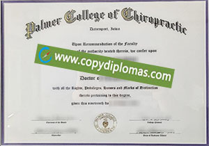 buy fake Palmer College of Chiropractic degree