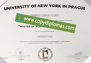 buy fake University of New York in Prague diploma