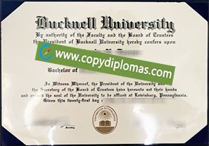 buy fake Bucknell University degree