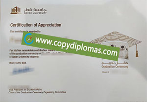 Qatar University diploma