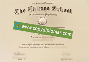 The Chicago School degree