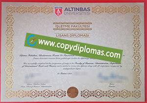 Altinbas University degree