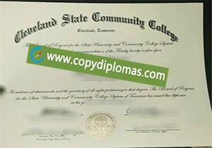 Cleveland State Community College degree